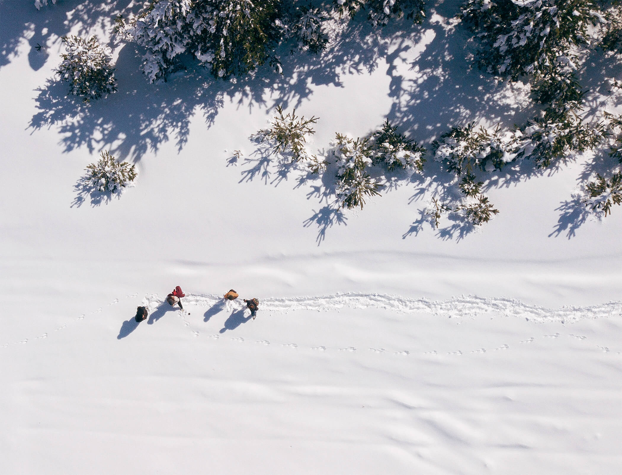 Winter from above